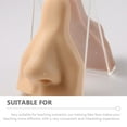 thumbnail image 4 of Miangastore Silicone Fake Face Model for Piercing Practice and Decor Light Brown Color Smooth Surface, 4 of 5
