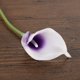 thumbnail image 5 of Ramo De Cala 20 piezas Calla nupcial boda ramo látex sensación Real flor púrpura, 5 of 7
