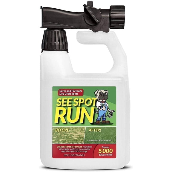 See Spot Run Lawn Protection | Repair and Prevent Dog Spots and Dog Urine Burns | Easy-to-Use Hose End Sprayer - 32 fl oz