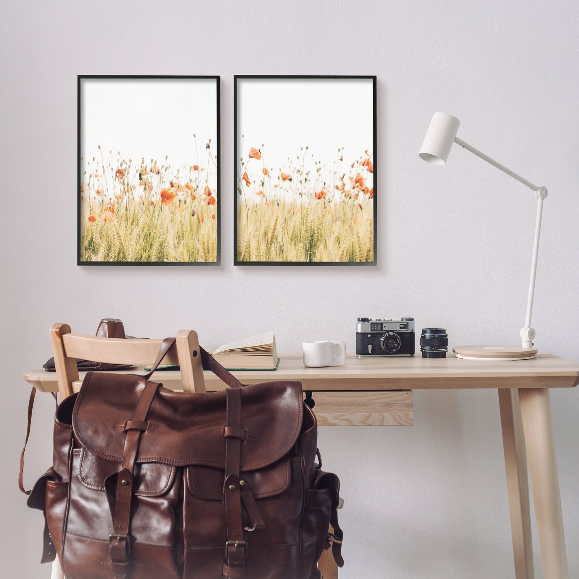 Stupell Industries Rural Poppy Field Landscape Photography Black Framed Art Print Wall Art, 16 x 20