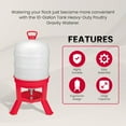 thumbnail image 2 of Little Giant DOMEWTR10 10 Gallon Tank Heavy Duty Poultry Chicken Gravity Waterer, 2 of 8
