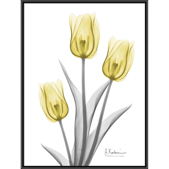 Great Art Now Illuminating Tulip Trio 2 by Albert Koetsier, Framed Wall Art, 15.25W x 20.25H