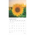 thumbnail image 3 of Sunflowers | 2025 12x24" (Hanging) Wall Calendar | Plato, 3 of 9