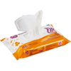 Parent's Choice Flushable Toddler Wipes, 48 Pack