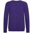 thumbnail image 2 of Awdis Boys/Girls Academy Raglan Sweatshirt, 2 of 3