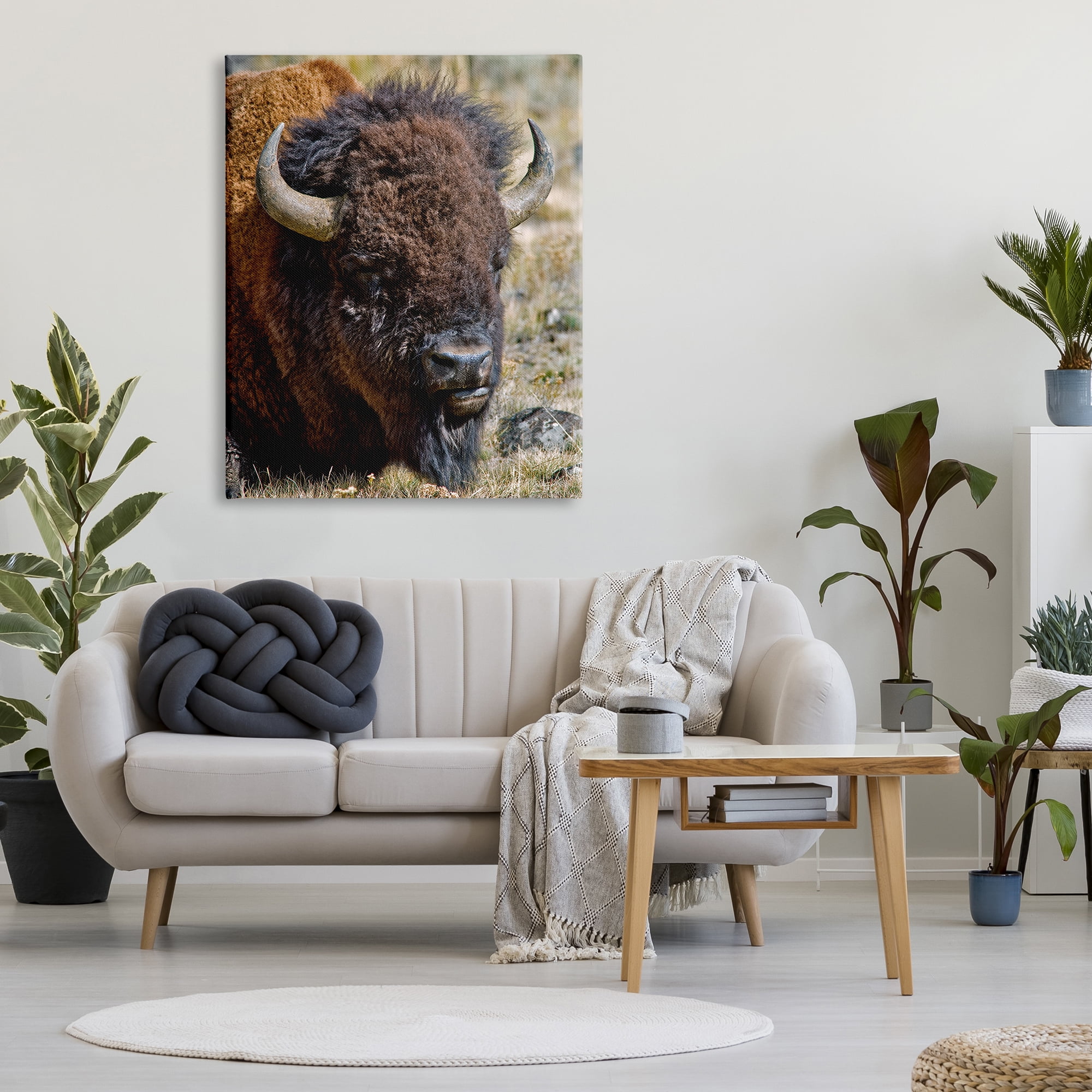 Stupell Industries Bison Resting Photography Animals & Insects Photography Gallery Wrapped Canvas Print Wall Art, 36 x 48