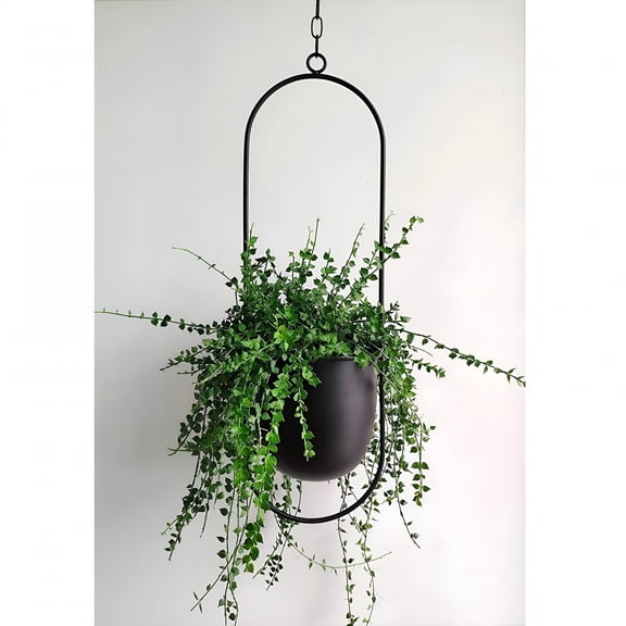 ACDANC 2026 New Metal Hanging Planter for Indoor Outdoor Plants Metal Minimalist Wall Ceiling Plant Hanger Hanging Flower Pot Basket Holder Wall Decor for Home Round Hanging Flower Pots for Garden