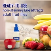 TERRO Fruit Fly Trap - 2 traps
