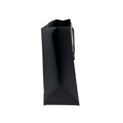 Gucci Unisex Paper Shopping Gift Bag, Black