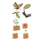 thumbnail image 1 of Conjuntos de ciclo de vida, figuras de juguete, ciencia, mariposas y plantas de frijol, regalo, colección realista de ciclo de vida para niños y niñas, 1 of 10