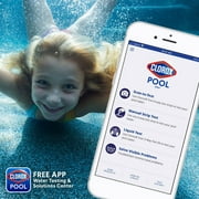 Clorox Pool&Spa Sink to Clear Pool Clarifier Chemicals, 32 oz Liquid