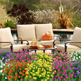 thumbnail image 4 of Paquete De Plantas Artificiales P/decoración De Boda, 9 Pzas, 4 of 5