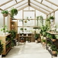 thumbnail image 2 of 8 x 8 FT Wooden Greenhouse, Walk-in Greenhouses with Polycarbonate Panels, Lockable Door, Wood Frame & Adjustable Vent for Backyard Gardening, 2 of 8