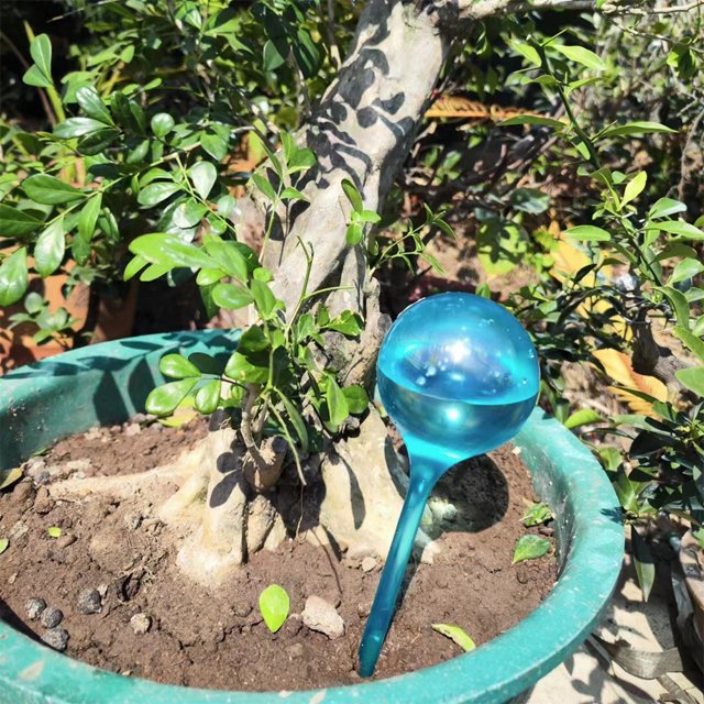 Bebedero De Plantas Riego por goteo con forma de bola ligera para plantas de PVC para plantas en macetas de interior Likrtyny Para estrenar