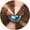 Copper, variant on Dabmar Lighting LV625-CP Solid Copper In-Ground Well Light with Eyelid- Copper