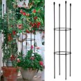 thumbnail image 5 of Support Frame Plants Stand Garden Climbing Rack Vine Home Decor Plastic Clinging Roses Black Adjustable Rose Trellis, 5 of 5