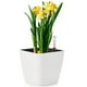 thumbnail image 4 of macetas,macetas de riego automático,Plantas de interior Flores  Suculentas,Maceta de autorriego con indicador de nivel de agua,Maceta blanca decorativa de jardín, 4 of 8