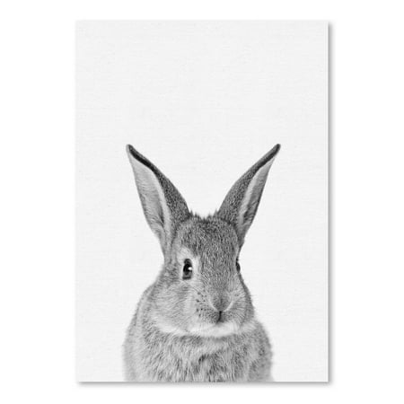 UPC: 0686457553681 | Americanflat Rabbit by Nuada Poster Art Print