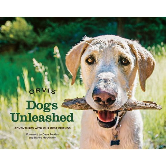Pre-Owned Dogs Unleashed : Adventures with Our Best Friends (Board book)