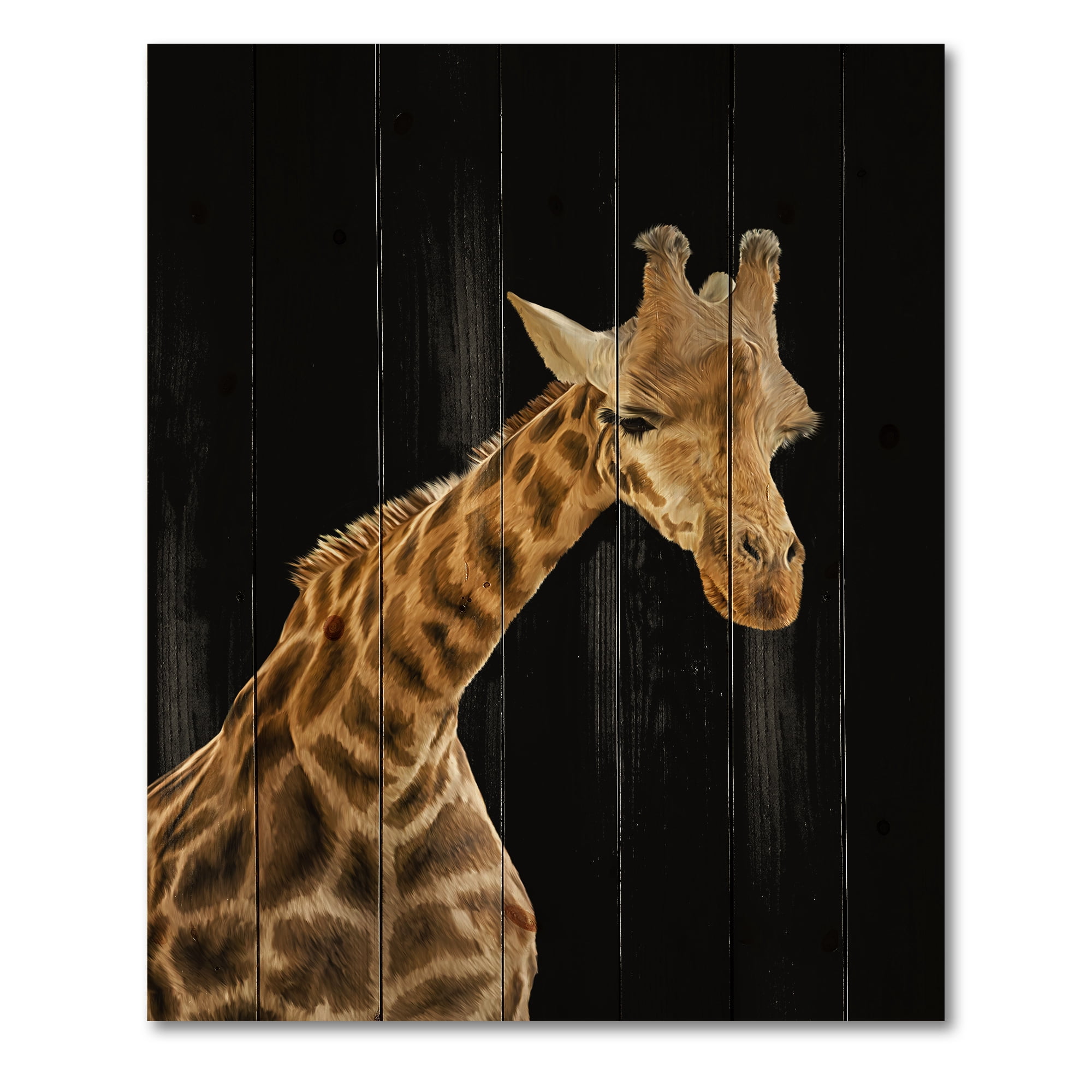 Designart 'Portrait of A Giraffe On Black Background II' Farmhouse Print on Natural Pine Wood