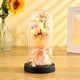 thumbnail image 4 of Rosas de San Valentín para Ella, Regalos Florales para Mujeres, Rosa En Cúpula de Cristal Iluminada, Rosas Eternas, Regalos de Cumpleaños para Mamá, Aniversario, Regalo de Rosa Eterna, 4 of 6