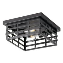 2-Light Industrial Caged Metal Ceiling Light, Modern Coastal Ceiling Light Fixture for Kitchen Bedroom Farmhouse Dining Room