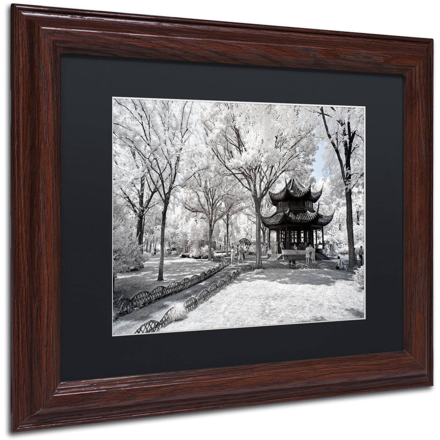 Trademark Fine Art "Coldness" Canvas Art by Philippe Hugonnard, Black Matte, Wood Frame