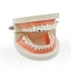 thumbnail image 5 of 2 Pares de Diente de Plata Brillante Salvador Parrillas de dientes asustadizos del vampiro, 5 of 8