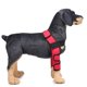 thumbnail image 3 of Pet Front Leg Compression Hock Wraps Knee Joint Support para perros Red M Rojo - M Yuyangstore Soporte de la rodilla del perro, 3 of 8