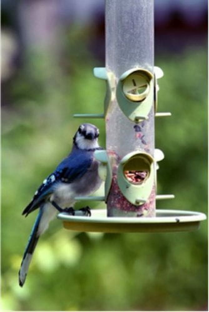 20 LB Wagner's Four Season Wild Bird Food