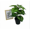 thumbnail image 3 of Planta artificial Brillar de simulación de flores falsas manzana verde grande en maceta, 3 of 5
