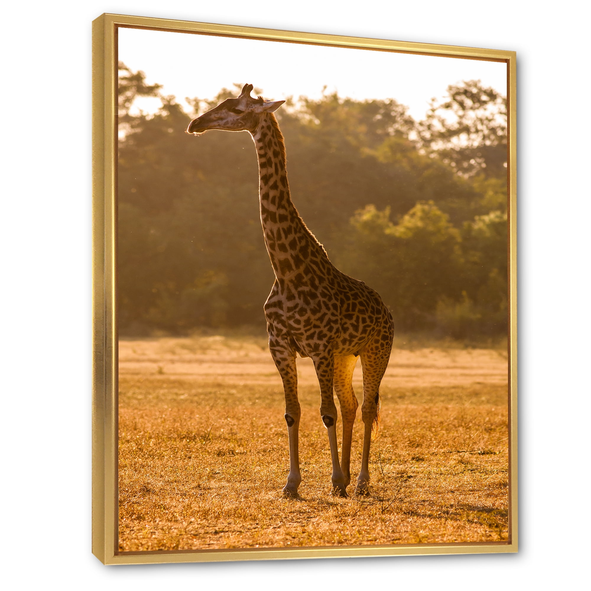 Designart 'African Giraffe In The Wildlife II' Farmhouse Framed Canvas Wall Art Print