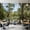 Color 3, variant on VETEB bayou new orleans cypress tree swamp Peel and Stick Wall Mural PVC Accent Wall Decor for Bedroom 100" x 144"