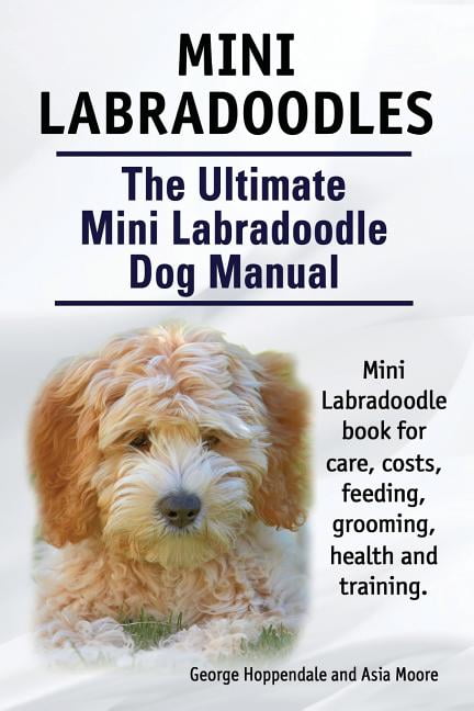 labradoodle care