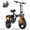 Z6-PLUS, variant on AZHAR 750W Foldable Electric Bike for Adults, 48V 10Ah 20 mph Removable Battery, 14" Ebike, Electric Mini Bike, 30 Miles Range, Class 2, UL 2849