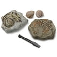 thumbnail image 6 of Discovery™ #Mindblown Fossil Excavation Kit, 6 of 7