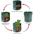 thumbnail image 3 of 2 uds bolsas para cultivo de patatas, bolsa para cultivo de plantas, maceta para cultivo de patatas, con ventana para jardín para patatas, zanahorias, tomates y cebollas, Etc., 3 of 5