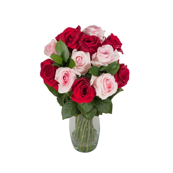 Love You More Rose Bouquet - Farm Farm Direct Fresh Cut Flowers Roses - Red, Pink 1 Pack - by Bloomingmore