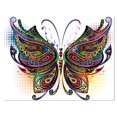 thumbnail image 2 of Design Art - Variegated Butterfly, 2 of 4