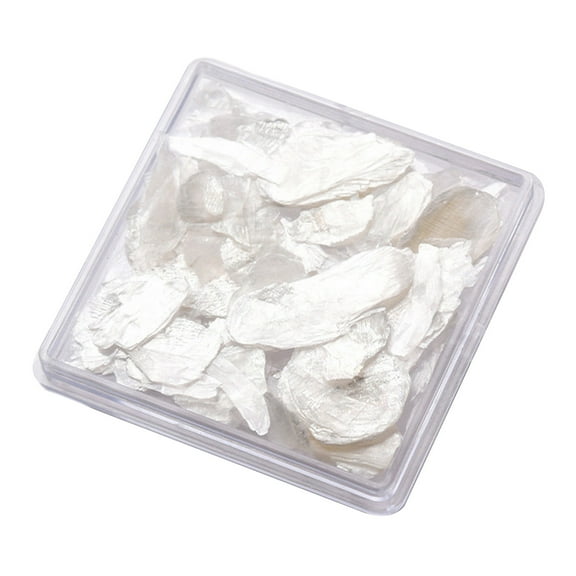 vnanda Nail Mica Sheet 1 Box Shell Mica Fantasy Color Nail Sequins Reflective Multicolored Nail Jewelry for Manicure Makeup Reflective Nail Glitter