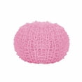 thumbnail image 3 of Inteprter Bola de filtro para estropajo de sartenes, cepillo para lavar platos, utensilios de cocina, bola de fregado, rosa, bola de repuesto Type3 NO3 Inteprter HA002848-06B, 3 of 6
