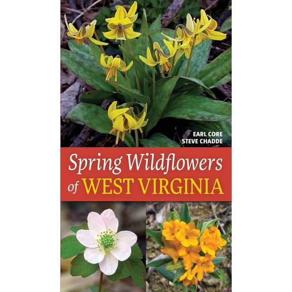 Spring Wildflowers of West Virginia, (Paperback)