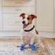 thumbnail image 2 of 4 botas para mascotas, impermeables, para exteriores, antideslizantes, protectores de pies, 2 of 7