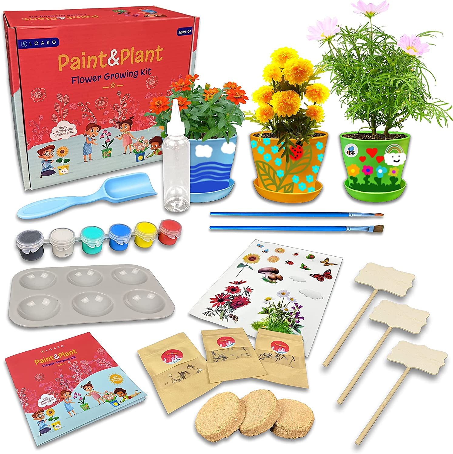 Paint and Plant Flower Growing Kit for Kids Kids Gardening Set Gifts
