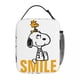 thumbnail image 3 of Bolsas térmicas para el almuerzo con diseño de Peanuts, Snoopy, Charlie Brown y Woodstock, lindas bolsas para comida con dibujos animados, loncheras térmicas portátiles, 3 of 5