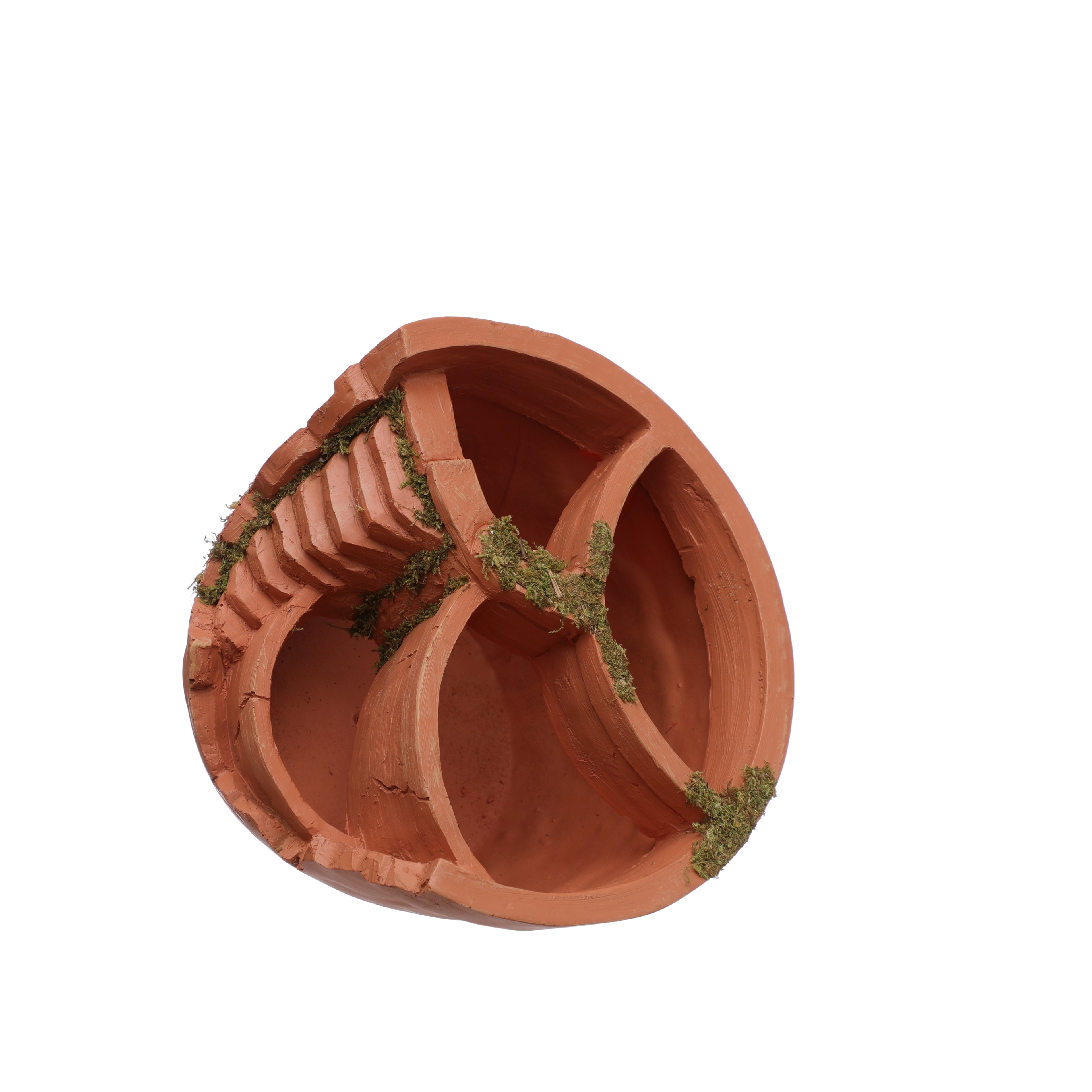 Mini Moss Container by Ashland  - Spring Home Decor