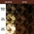 thumbnail image 3 of Manic Panic Cat Tail, 3 of 4