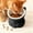 Black, variant on 2 in 1 Anti-Slip Tilted Dog Bowl, Ceramic Elevated Cat Bowls for Optimal Spine Protection, Slow Feeder Pet Bowl in Lake Blue, Perfect Raised Cat Feeders