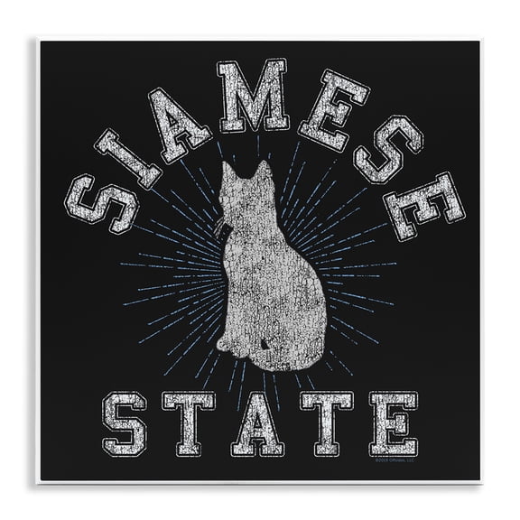Stupell Industries Contemporary Wall Plaque Art, 12 x 12, by Spirit Animals/Life Is High