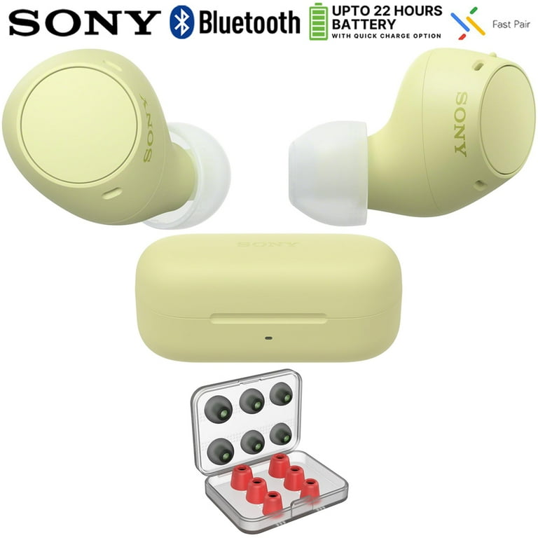 Sony WF-C510 Truly Wireless Earbuds with 22-Hour Battery, IPX4